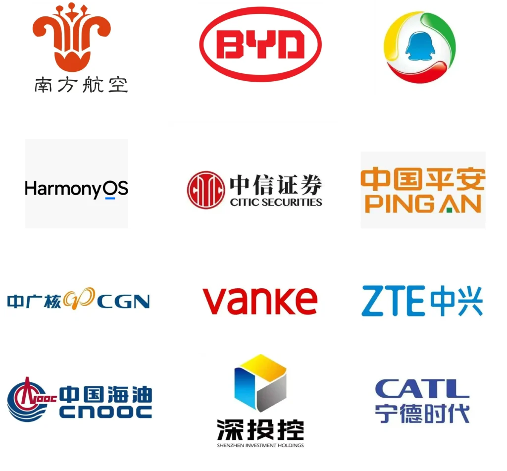 参加峰会的中国公司